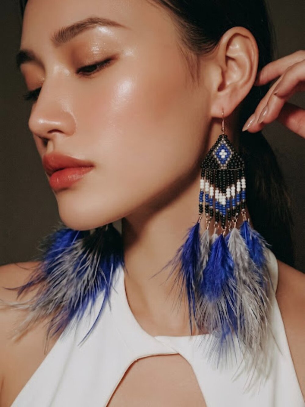 Blue and Black  Earrings with Feather Accents